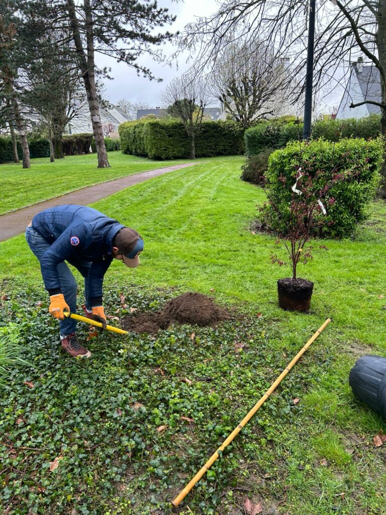 Thomas plante un arbre